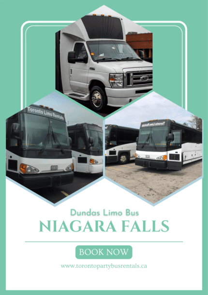 Dandas Niagara Falls Tours